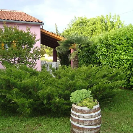 Apartment Vesna 1