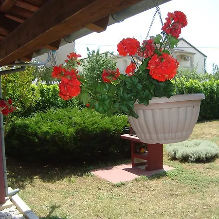 Vesna 1 Apartamento Fažana